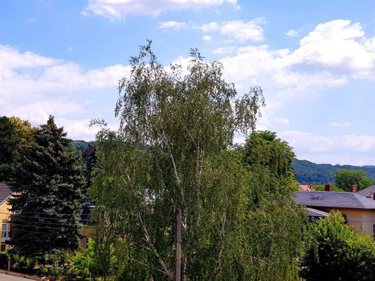 Ferienwohnung Elbhangblick - Fur 2 Personen Дрезден Экстерьер фото